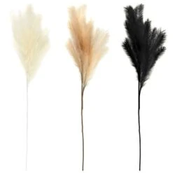 B&M Pampas Stem - Natural -Coathr Shop 372800 395541 394382 pamas stem group