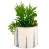 B&M Succulent In Blue Drip Pot -Coathr Shop 380106 succulent in blue drip pot