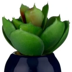 B&M Small Succulent -Coathr Shop 380107 small succulent 6