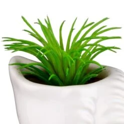 B&M Scandi Shore Small Shell Succulent 18 B&M Scandi Shore Small Shell Succulent -Coathr Shop 380110 small shell succulent 5