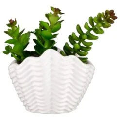 B&M Scandi Shore Small Shell Succulent 13 B&M Scandi Shore Small Shell Succulent -Coathr Shop 380110 small shell succulent 7