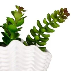 B&M Scandi Shore Small Shell Succulent 19 B&M Scandi Shore Small Shell Succulent -Coathr Shop 380110 small shell succulent 8
