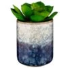 B&M Scandi Shore Succulent -Coathr Shop 380125 scandi succulent