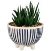 B&M Scandi Shore Stripe Succulent -Coathr Shop 380604 scandi shore stripe succulent 3