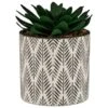 B&M Succulent In Botanist Print Pot - Green -Coathr Shop 380608 patterened pot with succulent