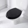 Addis Wooden Toilet Seat - Black -Coathr Shop 383077 addis toilet seat wood black