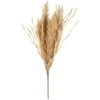 B&M Dried Grass Bunch -Coathr Shop 387541 dried grass bunch