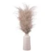 B&M Pampas In White Vase -Coathr Shop 387577 real pampas in white pot