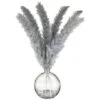 B&M Grey Pampas In Glass Vase -Coathr Shop 392627 grey pampas in glass vase