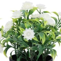 Bloom Daisies In Pot - White -Coathr Shop 392825 daisies in pot 2