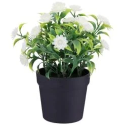 Bloom Daisies In Pot - White -Coathr Shop 392825 daisies in pot