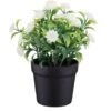 Bloom Daisies In Pot - White -Coathr Shop 392825 daisies in pot yellow