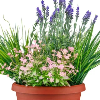 Bloom Flowers In Large Planter - Light Pink 4 Bloom Flowers In Large Planter - Light Pink - Image 2