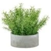 Bloom Large Green Foliage In Cement Pot -Coathr Shop 392861 large green foliage in cement