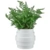 Bloom Premium Foliage In Cream Planter -Coathr Shop 392863 premium foliage in cream planter