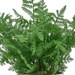 Bloom Premium Foliage In Cream Planter -Coathr Shop 392863 premium foliage in cream planter 2