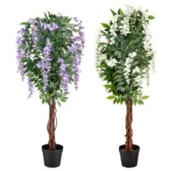 Bloom Wysteria Tree In Pot - Purple -Coathr Shop 392870 4ft wysteria tree group