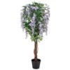Bloom Wysteria Tree In Pot - Purple