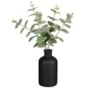 B&M Eucalyptus In Black Pot -Coathr Shop 394336 eucalyptus in black pot