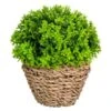 B&M Bush In Seagrass Pot -Coathr Shop 394693 bush in seagrass pot