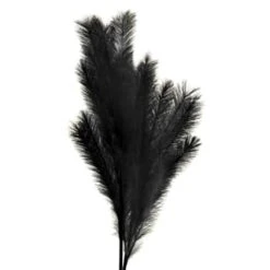 B&M Pampas Stem - Black -Coathr Shop 395541 pamas stem black 2